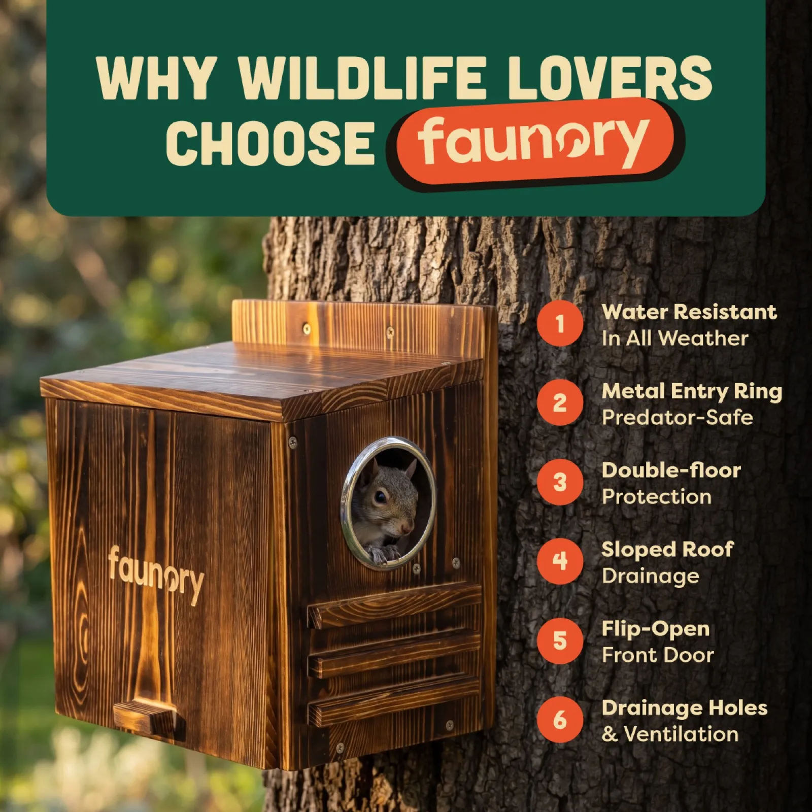 Faunory, squirrel and bird house, gallery designed by AND creative studio