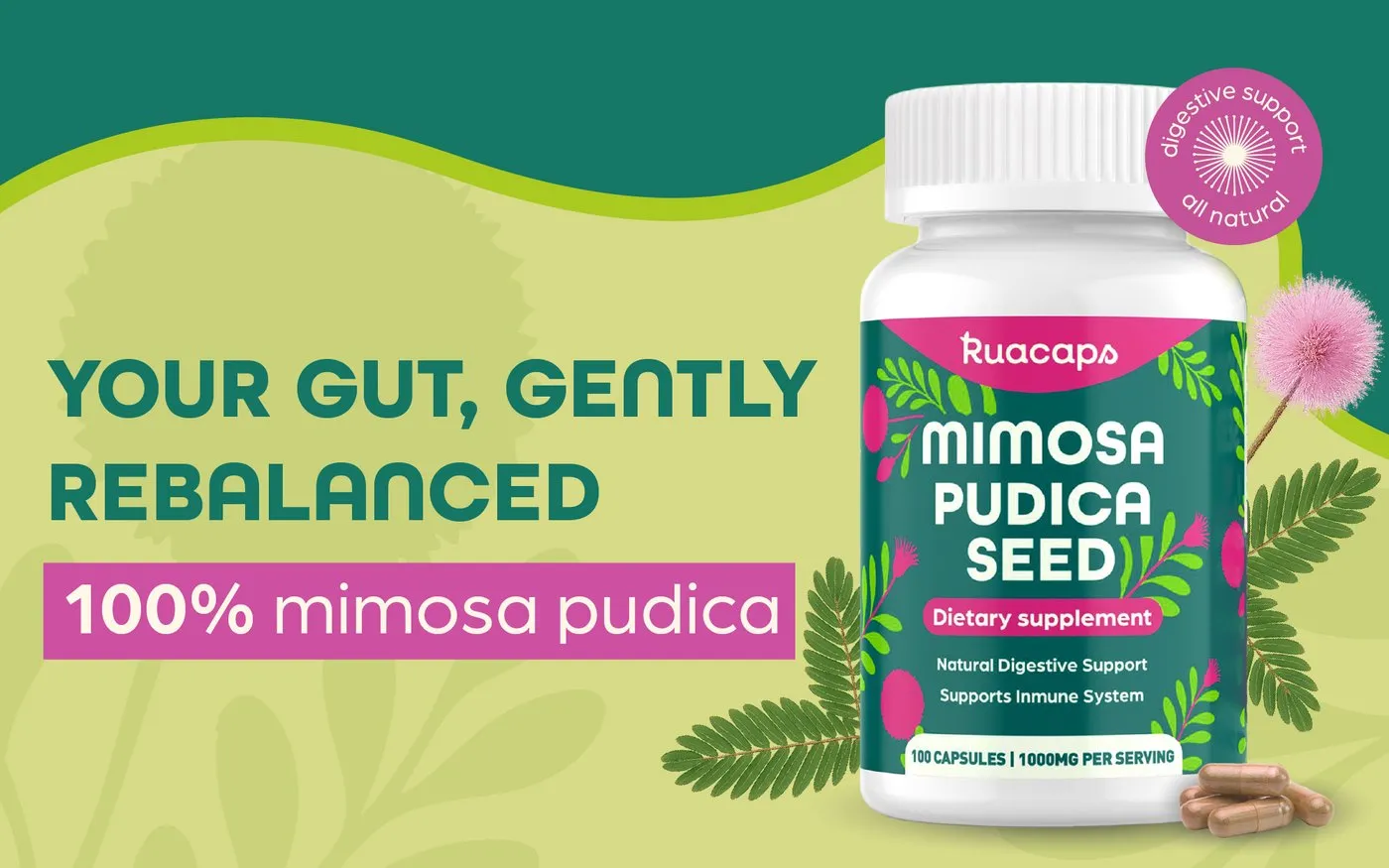 A+ content for a mimosa pudica supplement