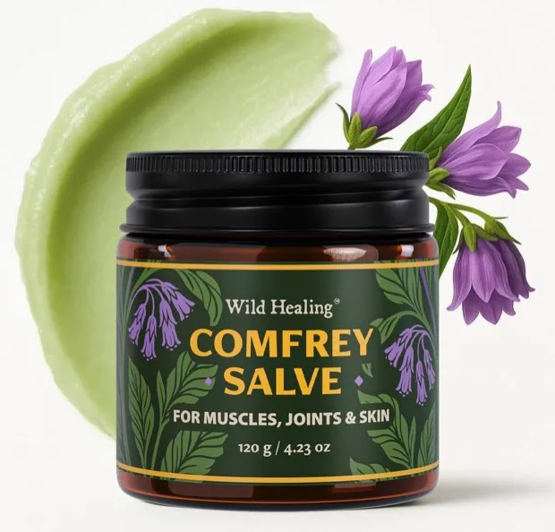 Wild Healing Comfrey Salve, main image, designed by AND creative studio